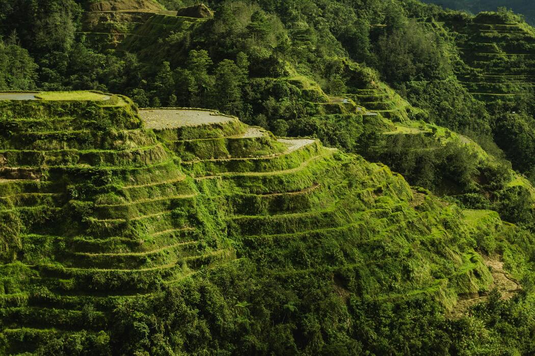 Come Cambia la Terra Che Abitiamo