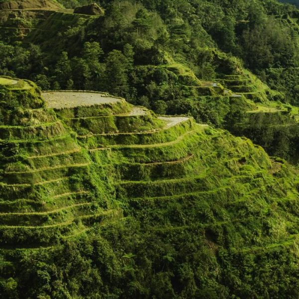 Come Cambia la Terra Che Abitiamo